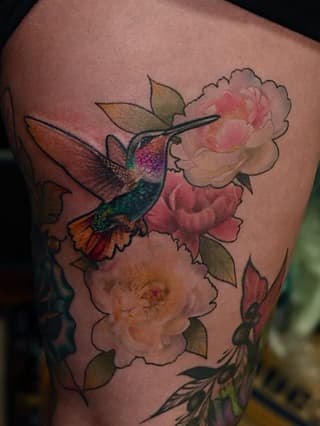 Colorful hummingbird with iridescent plumage hovering over pink and peach flowers with green leaves on the upper arm.