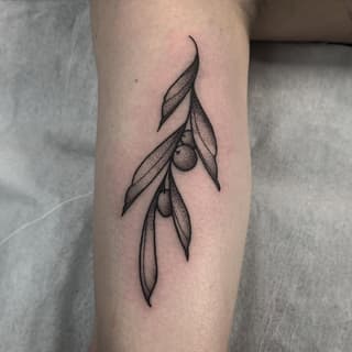 Olive branch with leaves and fruit rendered in black ink on the inner forearm, featuring detailed linework and shading throughout.