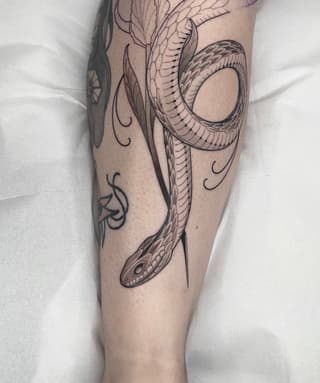 Dragon tattoo on the leg featuring scaled wings, detailed head, and decorative swirls in black ink on light skin.