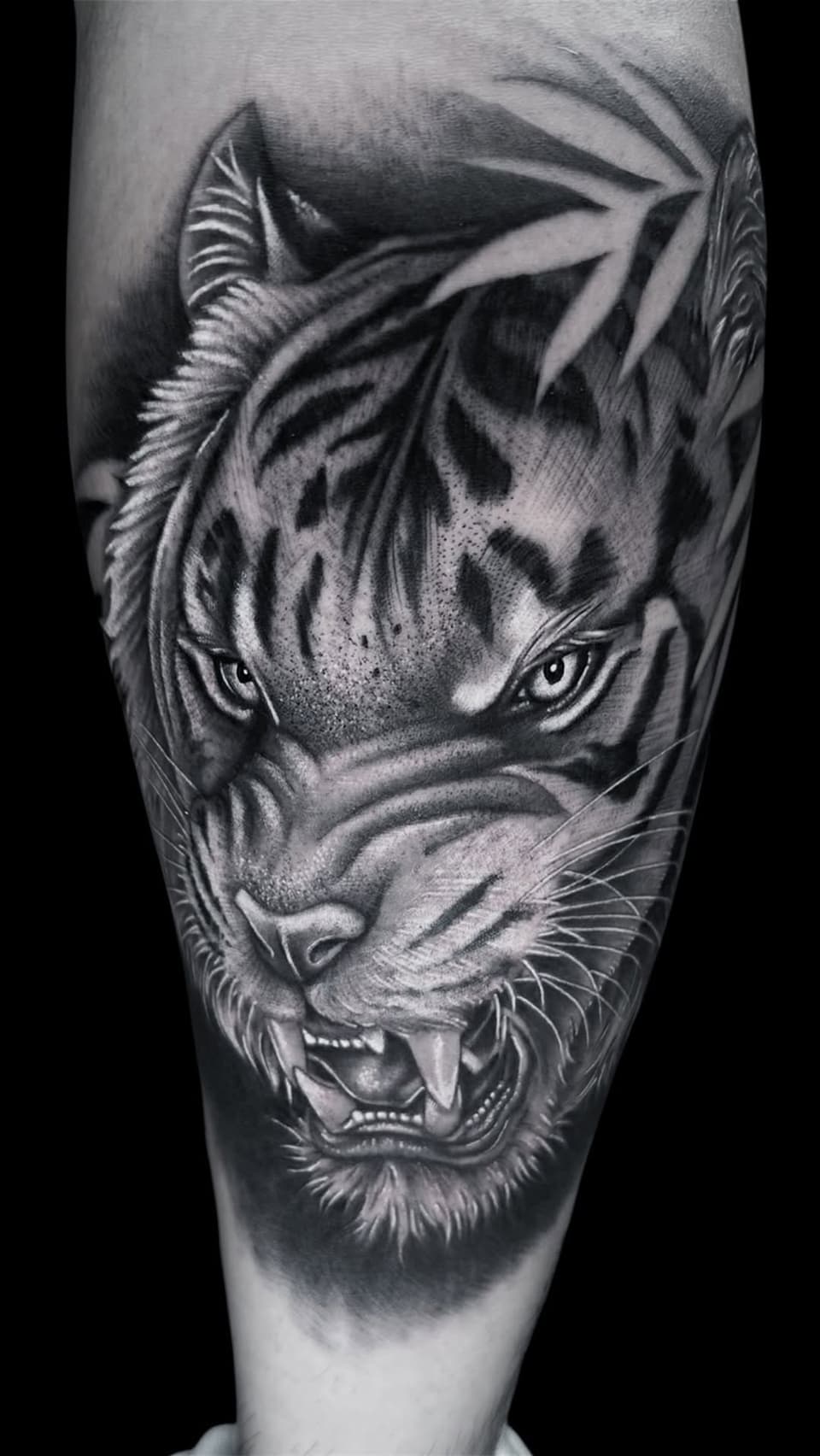 Tiger head tattoo on leg showing detailed facial features, whiskers, and open mouth with visible teeth in grayscale ink.