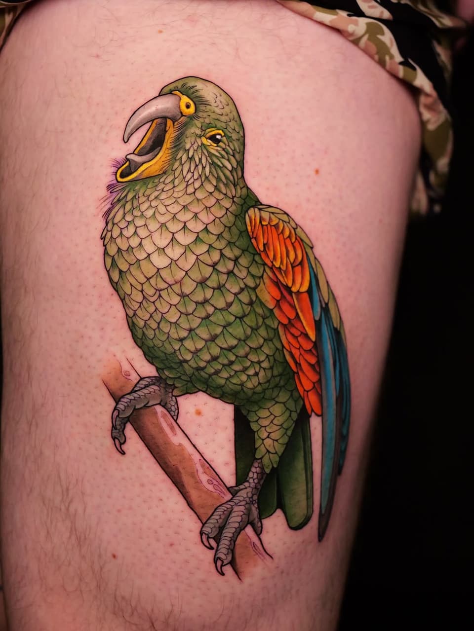 Colorful parrot tattoo on thigh featuring green plumage, yellow eye ring, orange-red wings, and blue tail feathers, perched on a brown branch.