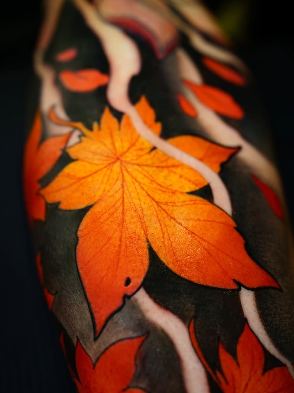Colorful Japanese maple leaves in orange and red tones with black outlines and white highlights on the upper arm.