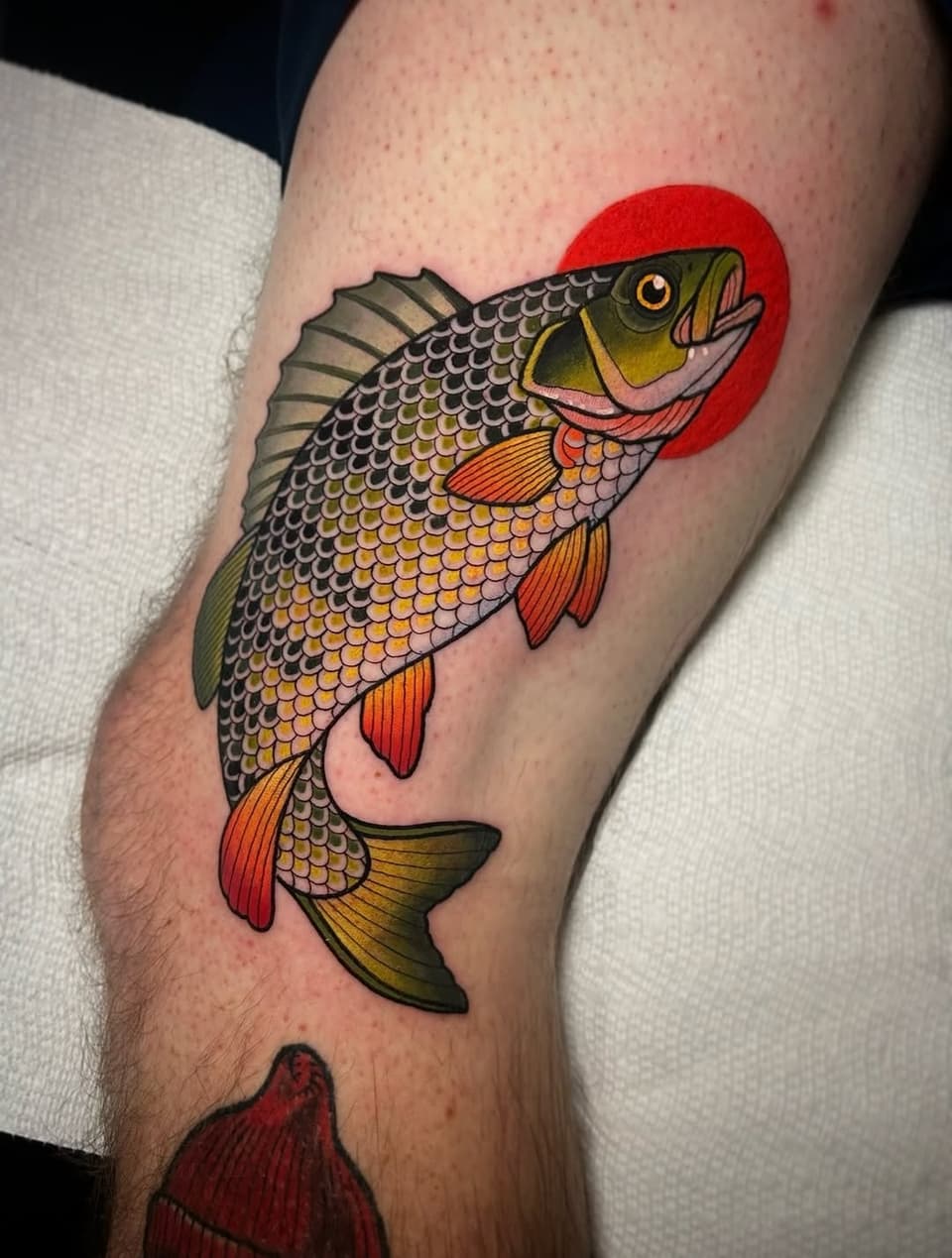 Colorful fish tattoo on calf featuring olive and gold scales, red-orange fins, golden eye, and bright red circular background element.