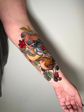 Three colorful birds perched among branches with red and black berries on a person's forearm and wrist, featuring warm brown and orange tones.
