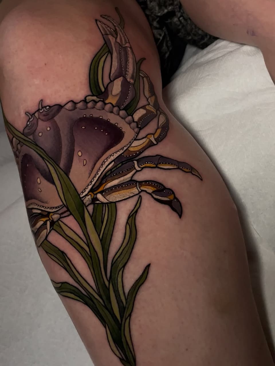 Detailed carnivorous plant tattoo on upper arm featuring purple pitcher trap, tan claws, and green stems with brown and gold accents.
