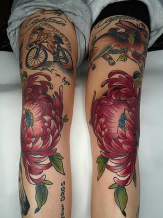 Two legs displaying matching floral leg sleeve tattoos featuring large red peonies, bicycles, small animals, and green leaves in color.