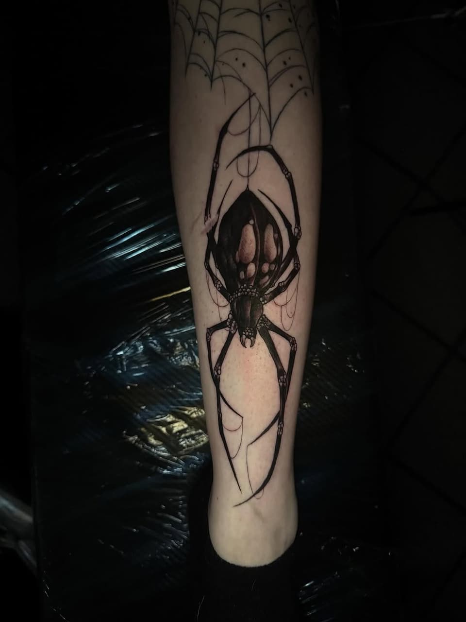 Spider with detailed body and legs suspended from web lines on a forearm, rendered in black ink with shading.