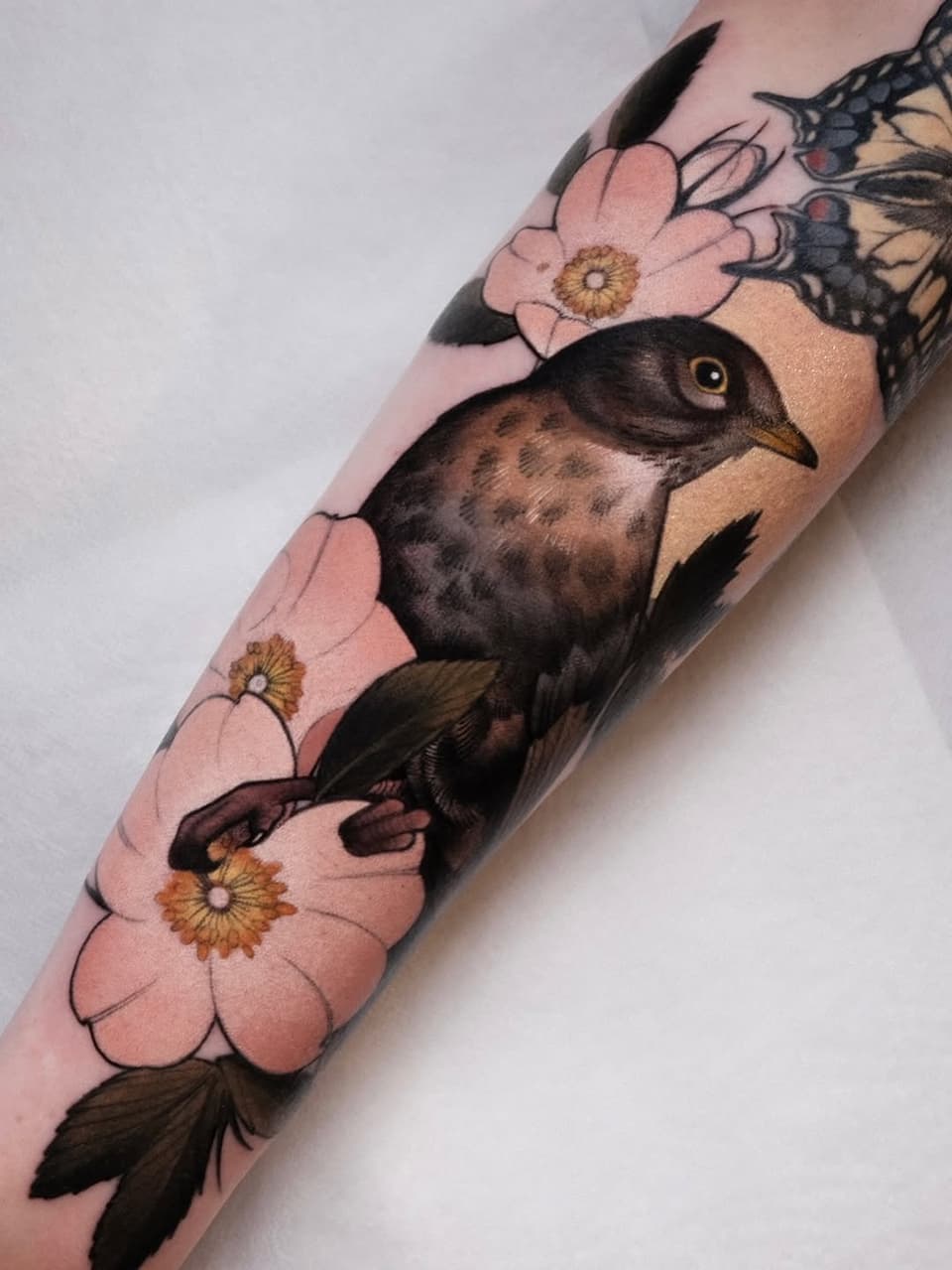 Bird with spotted brown plumage perched among pink flowers with golden centers and monarch butterflies on an arm.