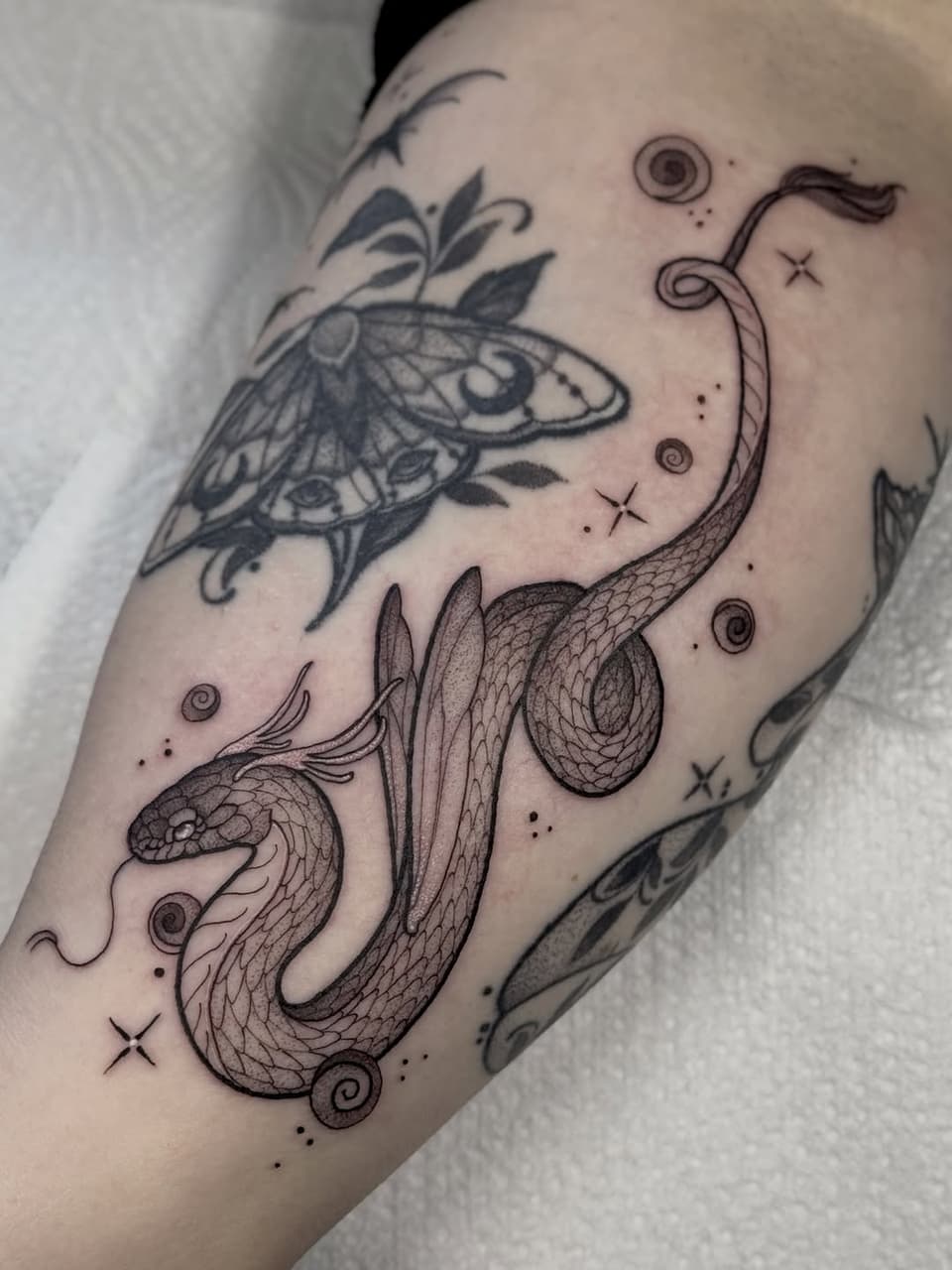 Forearm tattoo featuring a winged moth, coiled serpent with scaled details, and celestial motifs including spirals and stars in black ink.