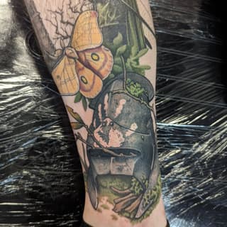 Colorful tattoo on leg featuring yellow and orange butterfly, dark moth, green leaves, and botanical elements with detailed shading.